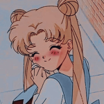 Sailormoon fan