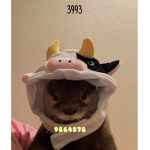 3993