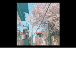 Japanese Tokyo vibes