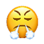 No Vacations