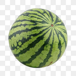 Melon Era