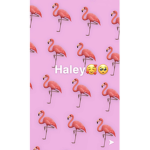 HALEY.COLA