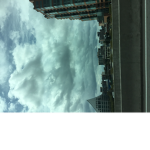 A weird world