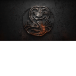 Cobra Kai official group