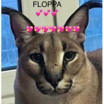 Funny & happiness