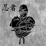 Slate Ninjas