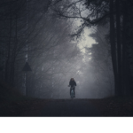 Darkwoods