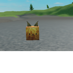 Cat cube adventures
