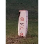 国人