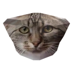 Roblox entity thumbnail