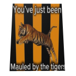 Hull City Cape
