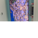 Minecraft bees army