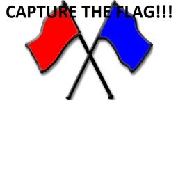 Capture The Flag! [Version 0.01]