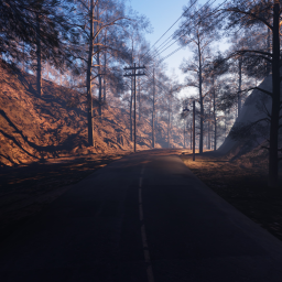 The Road, Virginia