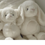 korilqkkuma