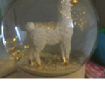 Lana Cousin Group