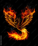 The master phoenixes