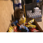 Banana lord