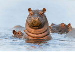 hehehhhehehehehehehehehe