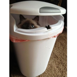 Ezko's trash can