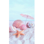 SeaShell Roblox Group!