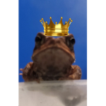 Leafy is mega cool ###