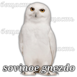 s0vin0e gnezd0