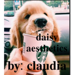 • Dᴀɪsʏ ᴀᴇsᴛʜᴇᴛɪᴄS •