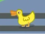 bonbon and the hyped duck