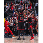 Chicago. Bulls