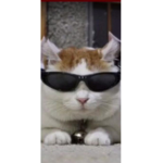GIVE BOBUX TO ME :3