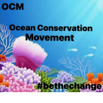 The Ocean Conservation Movement