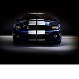 Lets Race!