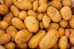 Powerful Potato Army