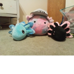 Roblox axolotls team