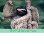 The Rainforest Fans