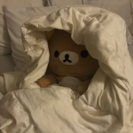 ! teddies