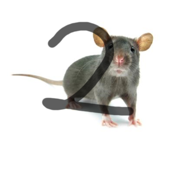 rat simulator 2