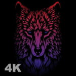 sank in 4k