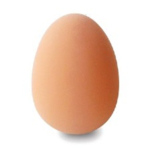 ~The Egg Kingdom~