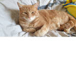 Monsieur