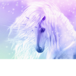 the unicorn nation <3
