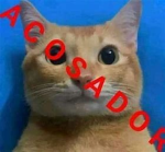 Donaciones diarias!!