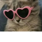 I LOVE GRACIE<33