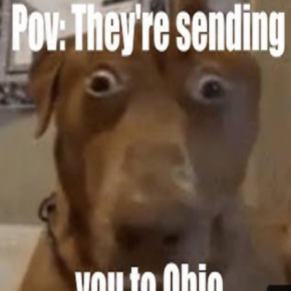 OHIO dog Roblox decal