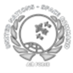 UNSC2 AirForce division