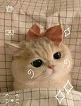 Flower Fangroup