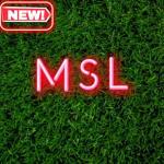 MSL ~ Modified Soccer League