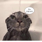 메로나의 로블록스 그룹