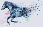 Midnight Horse Academy